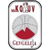 https://img.gtzycj.com/img/basketball/team/4b06fe02aaa7da5901e5698485059da0.png