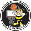 https://img.gtzycj.com/img/basketball/team/e416830f4083698237c559f8988ddb25.png